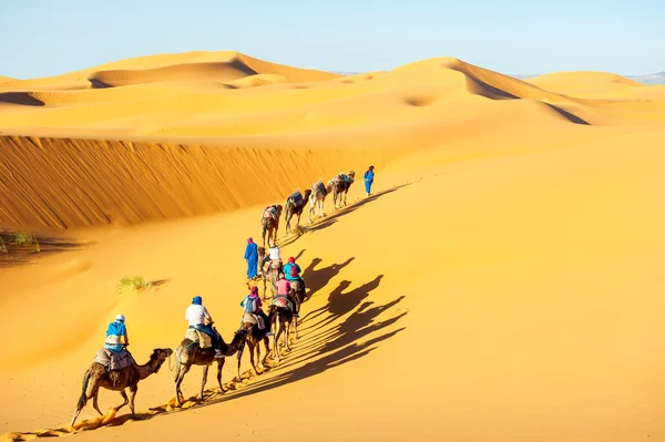 Jaipur - Jodhpur - Jaisalmer - 6N-7D